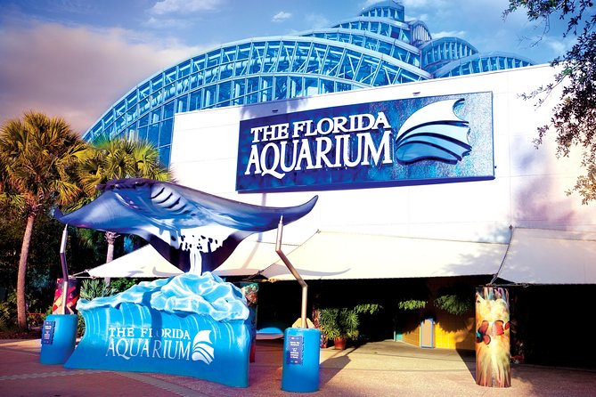 The Florida Aquarium in Tampa General Admission - Clean, organized, and kid-friendly—what that means in real life
