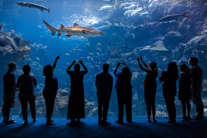 The Florida Aquarium in Tampa General Admission - Ticket value at $42: what general admission really covers