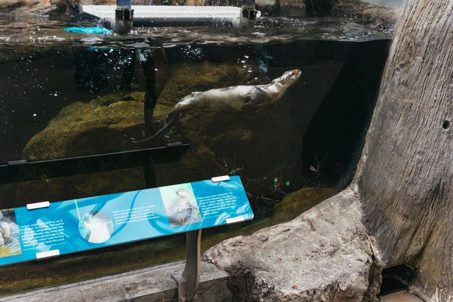 The Florida Aquarium Ticket - Touch Pools: How to Choose Your Hands-On Moments