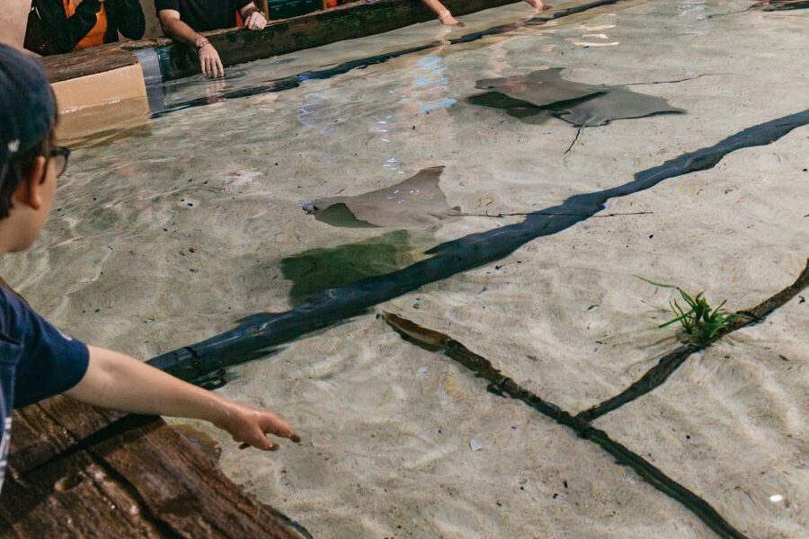 The Florida Aquarium Ticket - MORPH’D: Seeing Adaptations, Not Just Animals