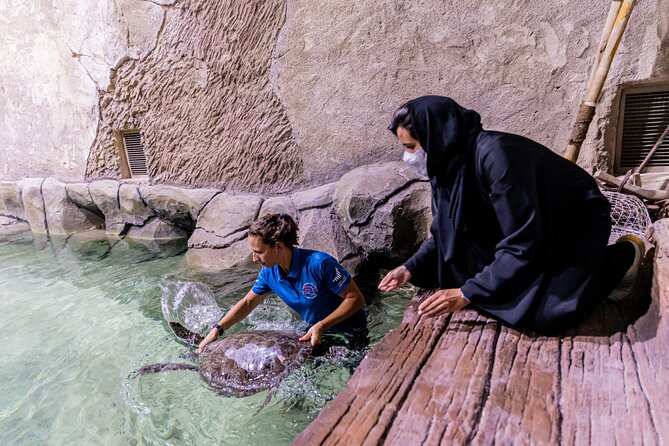 The National Aquarium Abu Dhabi Admission Tickets - Your main stop: touring at your own pace through the aquarium