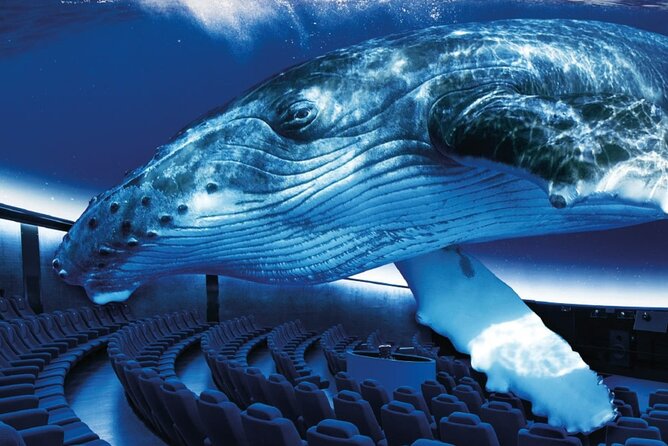 Ticket Palma Aquarium - Palma Aquarium Ticket: What You’re Actually Buying