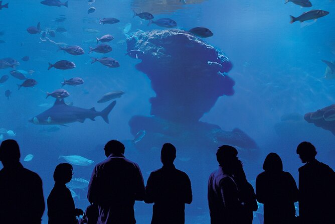Ticket Palma Aquarium - Crowds, Noise, and Layout Confusion: How to Have a Better Day