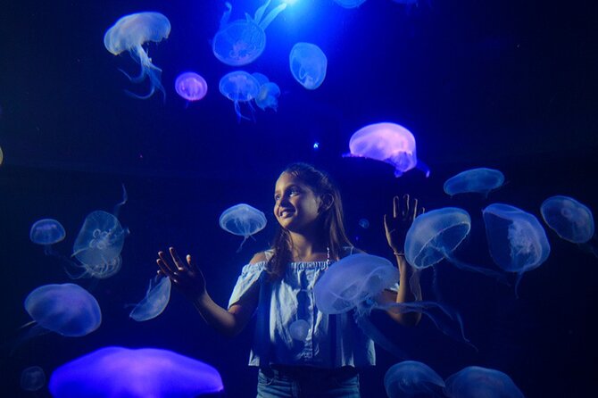 Ticket Palma Aquarium - Tickets, Timing, and Small Group Size: Simple, Not Complicated
