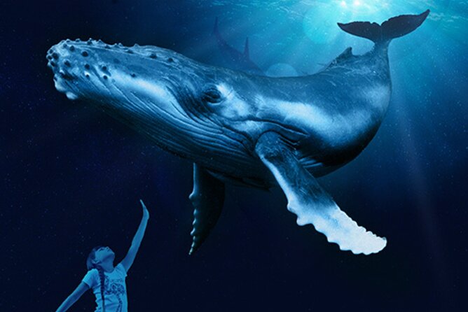 Ticket Palma Aquarium - Price and Value: Is $36.55 a Good Deal for You?