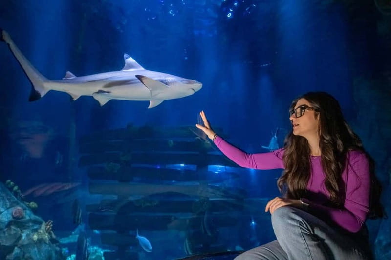 Ticket to SEA LIFE Konstanz - Where SEA LIFE Konstanz Is and Why Getting There Matters