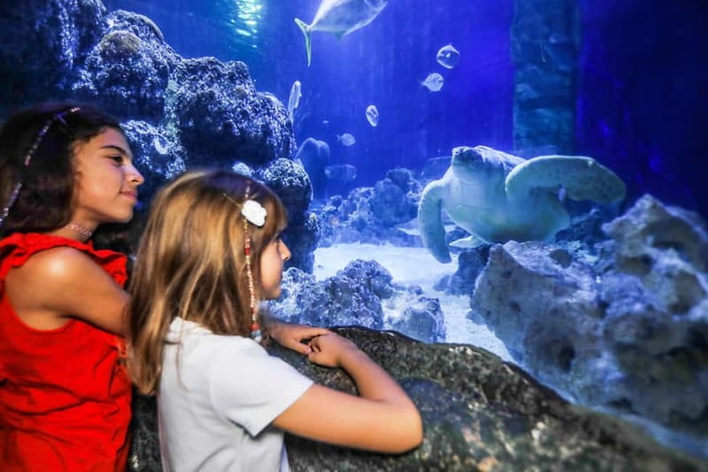 Ticket to SEA LIFE Konstanz - Your Walk Through the Water: From the Rhine to Antarctica