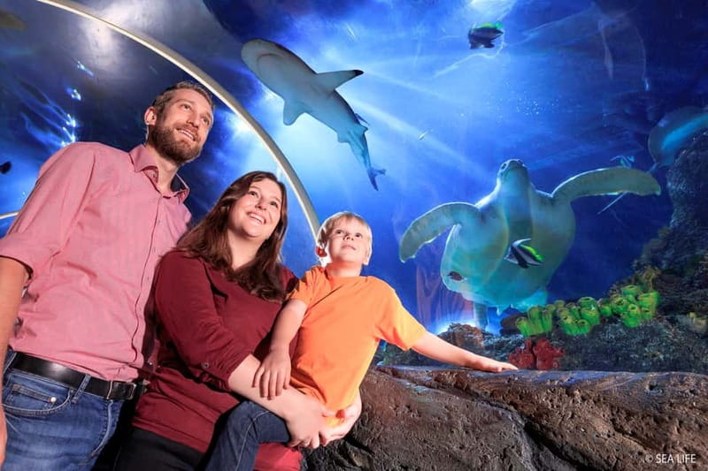 Ticket to SEA LIFE Konstanz - Practical Tips: Strollers, Pets, and Onsite Lake Views