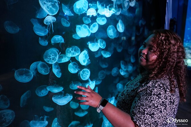 Ticket to the largest Oceanarium of the Mascarene Islands - Oceanarium of the Mascarene Islands: what you’re really paying for