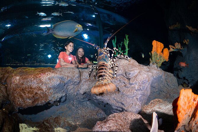 Ticket to the largest Oceanarium of the Mascarene Islands - A conservation-first ocean lesson you can actually use