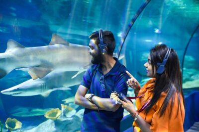 Ticket to the largest Oceanarium of the Mascarene Islands - Inside Odysseo Oceanarium Mauritius: 45 habitats and 2,000 m³ of water