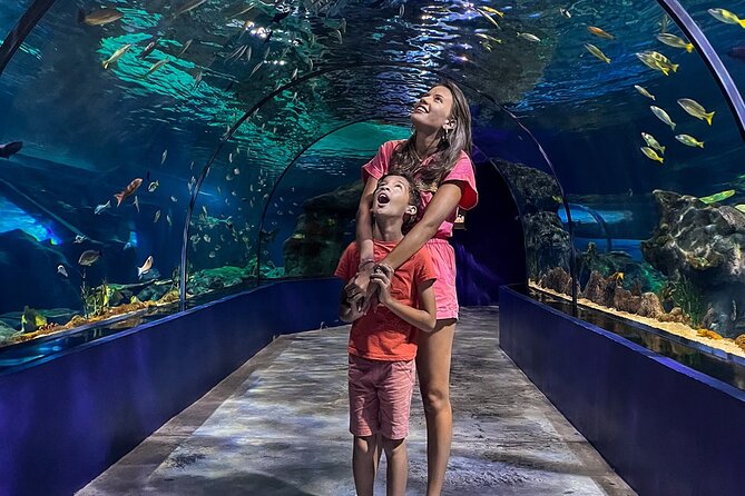 Ticket to the largest Oceanarium of the Mascarene Islands - How long it takes, and how to plan your 1 to 2 hour visit