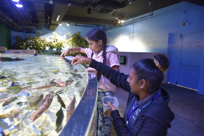 Ticket to the largest Oceanarium of the Mascarene Islands - Should you book Odysseo Oceanarium Mauritius?