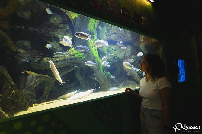 Ticket to the largest Oceanarium of the Mascarene Islands - FAQ