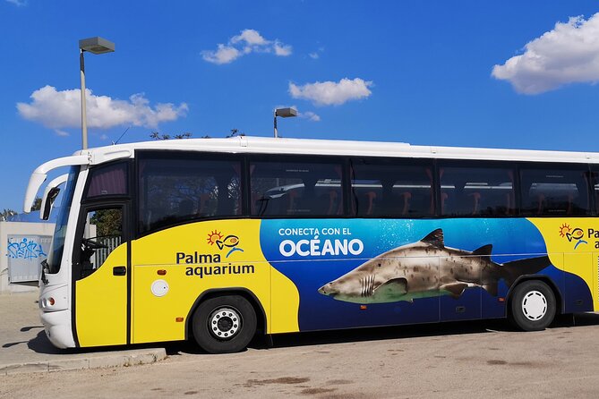 Ticket + Transfer to Palma Aquarium - Key things to know before you go