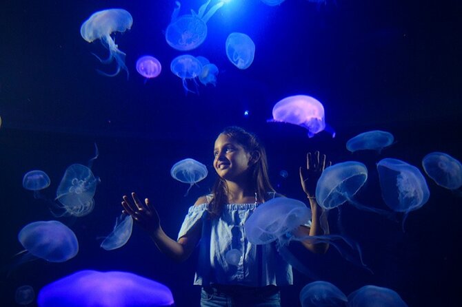 Ticket + Transfer to Palma Aquarium - 3D Aquadome and other add-ons: plan your spend before you arrive