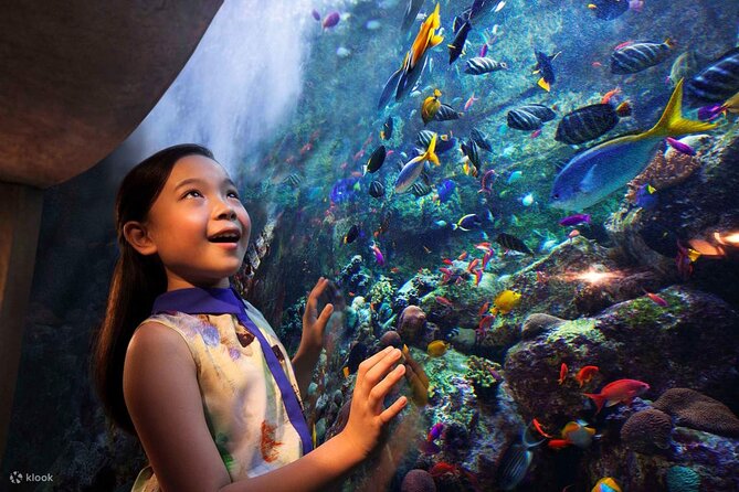 Tickets to Atlantis Lost Chambers Aquarium - Price and Ticket Value: Is $40.47 Worth It?
