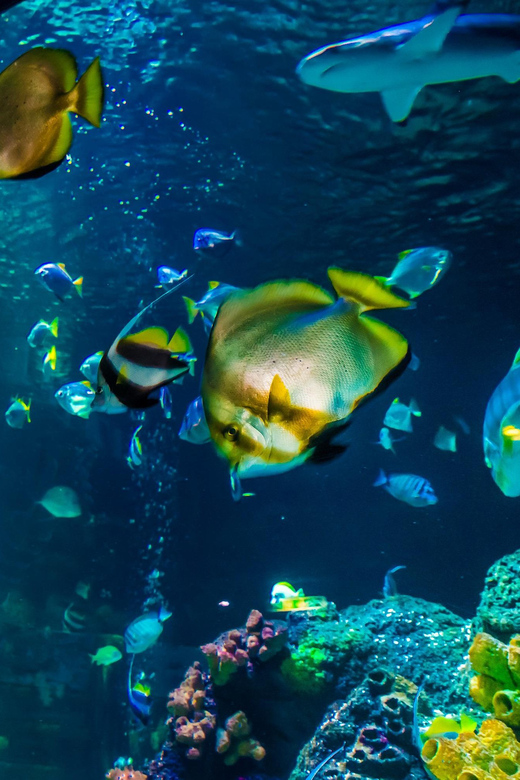 Timmendorfer Strand: SEA LIFE Behind the Scenes Tour - Key points to know before you go