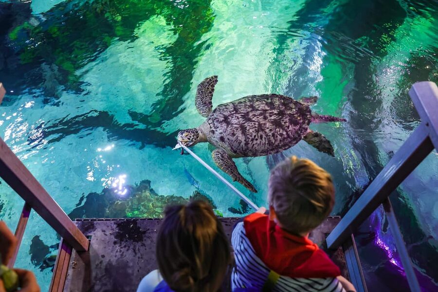 Timmendorfer Strand: SEA LIFE Behind the Scenes Tour - Who should book this SEA LIFE Behind the Scenes Tour?