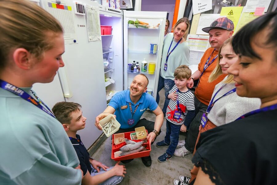Timmendorfer Strand: SEA LIFE Behind the Scenes Tour - The backstage tour itinerary: what the 90 minutes is really about