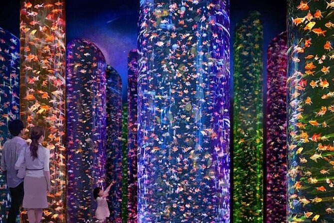 Tokyo Art Aquarium Museum E-Ticket with optional Tokyo Metro Pass - Why Ginza’s goldfish museum feels like an art show