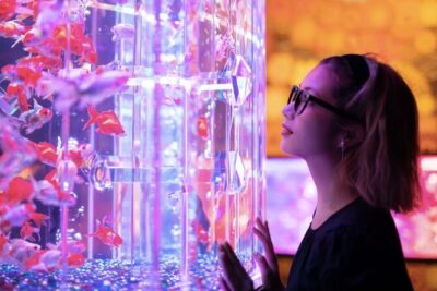 Tokyo Art Aquarium Museum E-Ticket with optional Tokyo Metro Pass - Price, ticket type, and timing you can plan around
