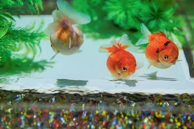 Tokyo Art Aquarium Museum E-Ticket with optional Tokyo Metro Pass - When to go, and how to pair it with Ginza sightseeing