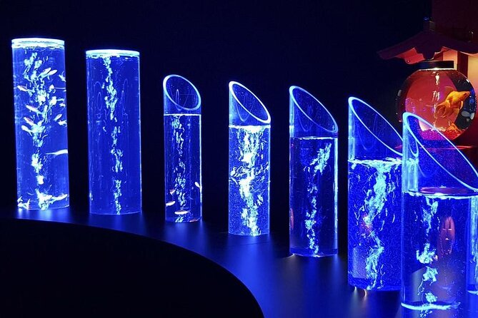 Tokyo Art Aquarium Museum E-Ticket with optional Tokyo Metro Pass - Value check: is a $29 e-ticket worth it?