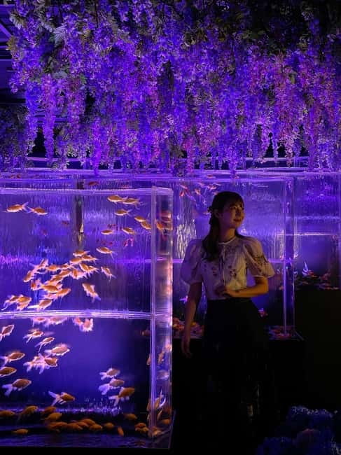 Tokyo: Art Aquarium Museum GINZA Entry Ticket - What You’ll See: Goldfish Displays With an Art-Installation Feel