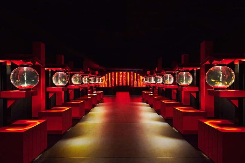 Tokyo: Art Aquarium Museum GINZA Entry Ticket - The Seasonal Element: A Permanent Venue That Can Still Feel New