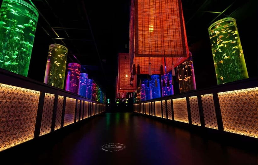 Tokyo: Art Aquarium Museum GINZA Entry Ticket - Photography Rules: How to Get Great Shots Without Causing Chaos