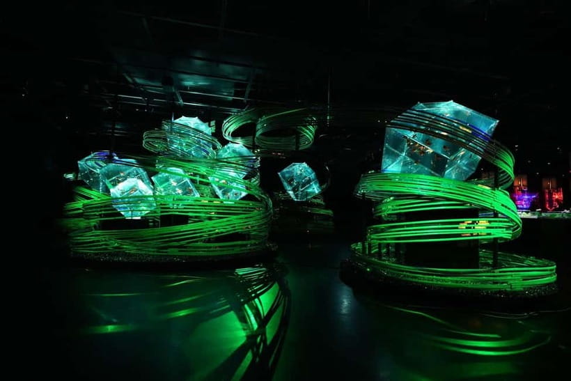 Tokyo: Art Aquarium Museum GINZA Entry Ticket - Who Should Book This (and Who Should Think Twice)