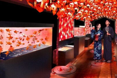 Tokyo Sumida Aquarium E-Ticket with Optional Tokyo Metro Pass - Your self-paced visit: 2 floors, artificial seawater, and the Aqua Gallery