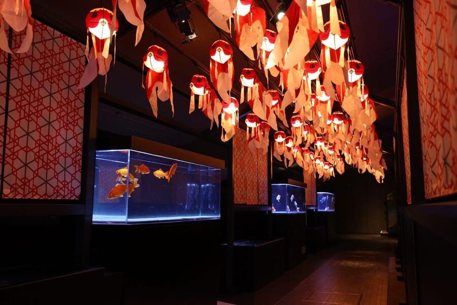 Tokyo: Sumida Aquarium Entry Ticket - Should You Book Sumida Aquarium Entry Ticket?