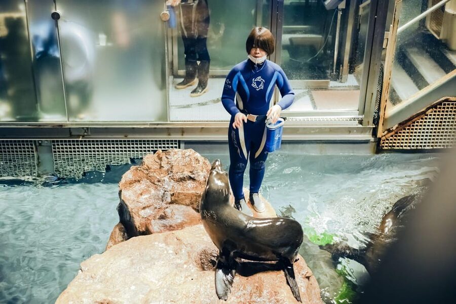 Tokyo: Sumida Aquarium Entry Ticket - Ticket Price and Value: Why $17 Feels Reasonable Here