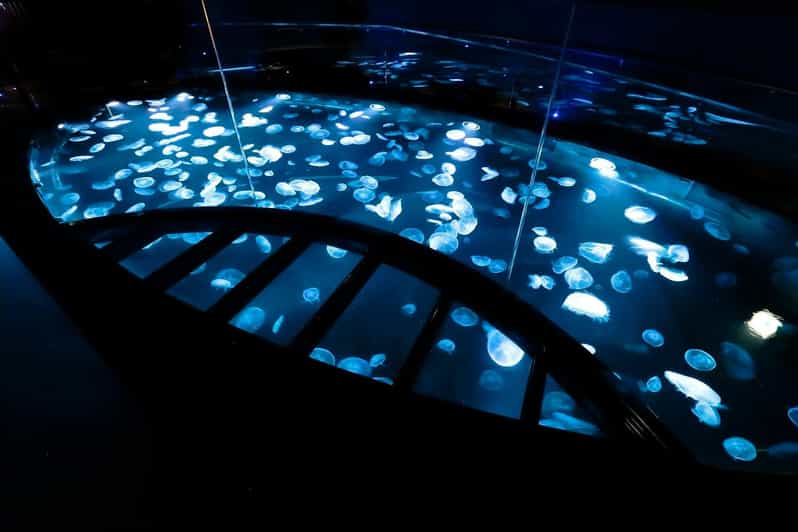 Tokyo: Sumida Aquarium Entry Ticket - Who This Aquarium Visit Fits Best
