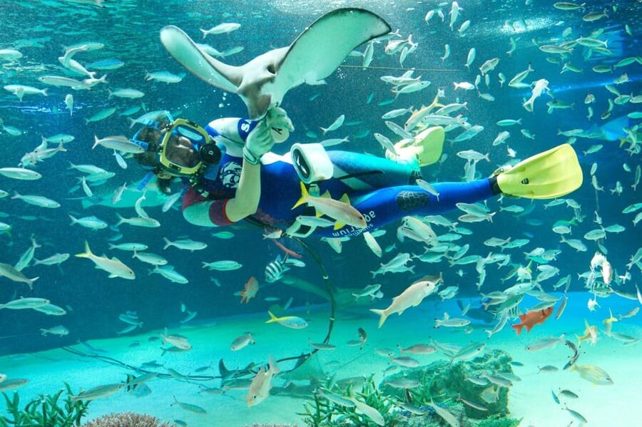 Tokyo: Sunshine Aquarium Entry Ticket - Key Things to Know Before You Go