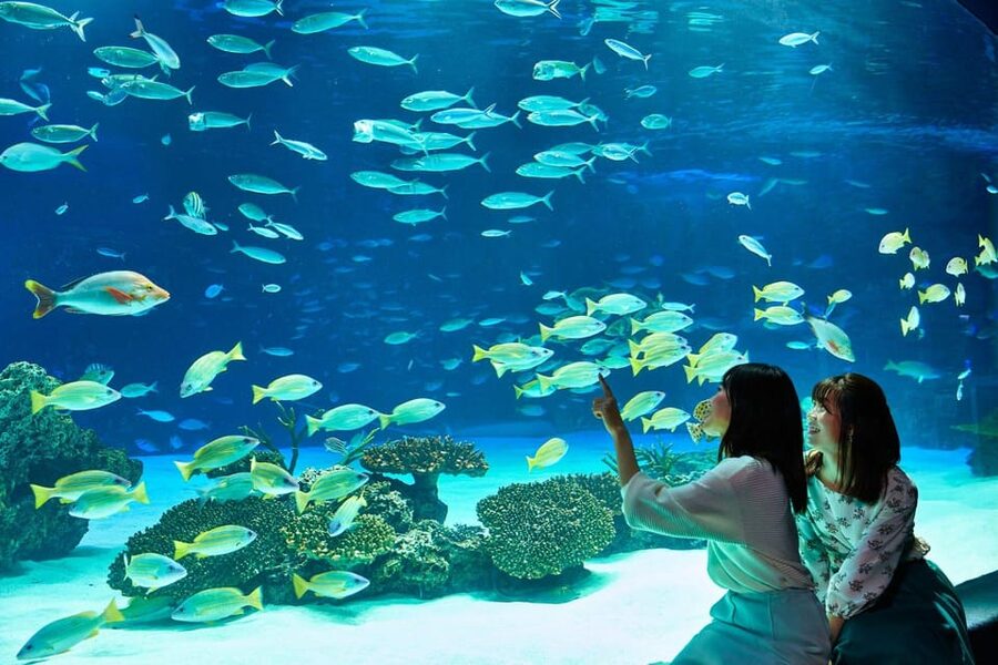 Tokyo: Sunshine Aquarium Entry Ticket - Sunshine Aquarium: a Rooftop Oasis in Ikebukuro