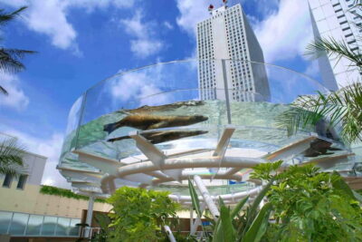 Tokyo: Sunshine Aquarium Entry Ticket - Getting In Smoothly: Your QR Voucher and Timing