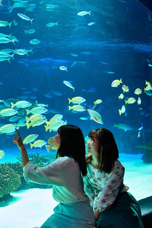 Tokyo: Sunshine Aquarium Entry Ticket - Who Should Book This Rooftop Aquarium Ticket