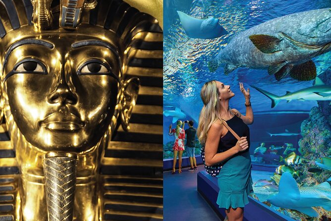 Tomb of the Pharaohs and Cairns Aquarium Combo - Key things to know before you go