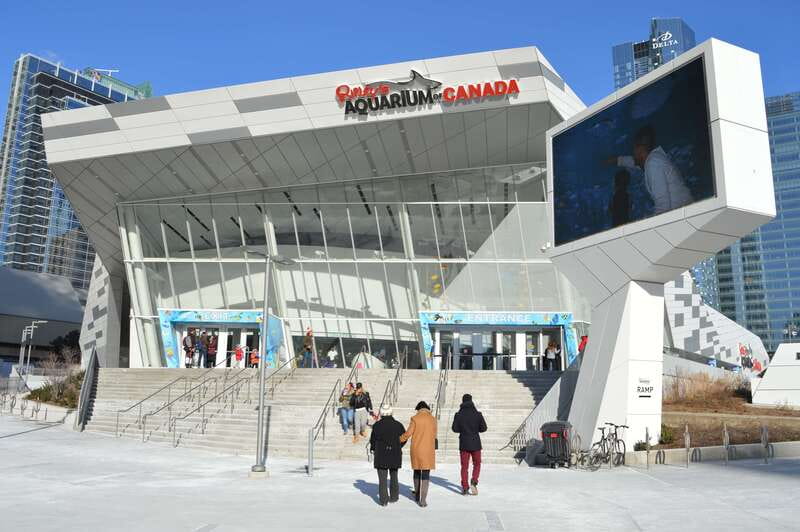 Toronto: Ripley's Aquarium of Canada Entry Ticket - Quick hits before you go