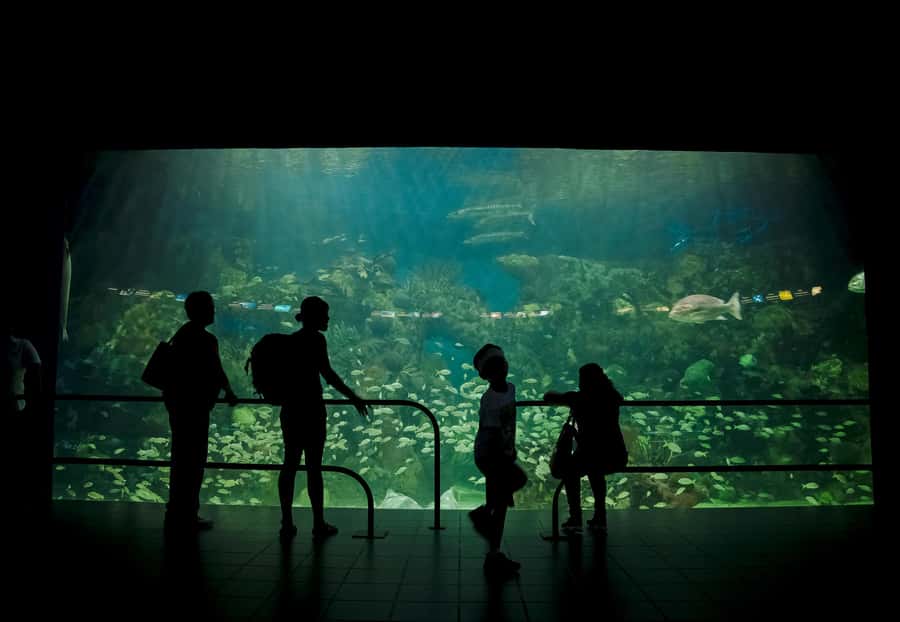 Veracruz: Panoramic Sightseeing City Tour and Aquarium - Plaza Las Américas: where you can add a break