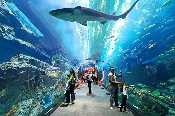 VIP Experience Dubai Aquarium & Underwater Zoo-As per Selection - How Long the Visit Really Takes (30 Minutes to 1.5 Hours)