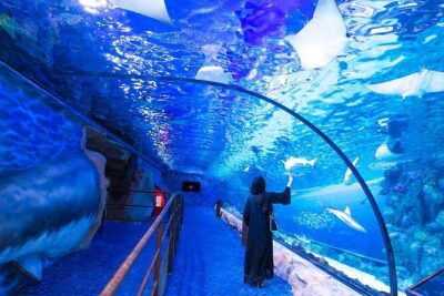 VIP Experience Dubai Aquarium & Underwater Zoo-As per Selection - Underwater Zoo: Penguins, Piranhas, Seahorses, and King Croc