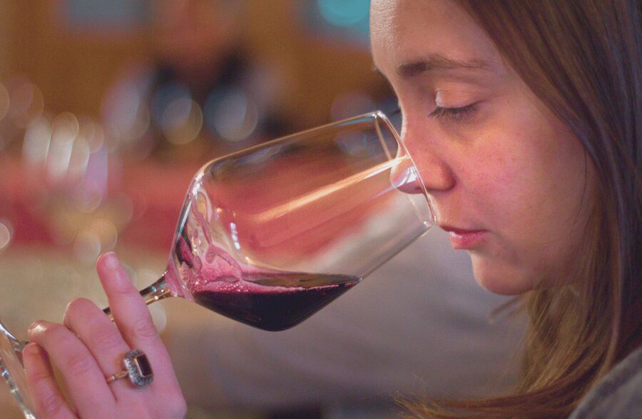 Wine Tasting near the Aquarium of Genoa - Key things I’d circle before you book