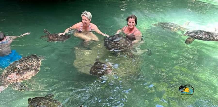 Zanzibar: Baraka Aquarium Feed, Swim & Snorkel with Turtles - The natural tidal pool behind the beach and the rehabilitation story