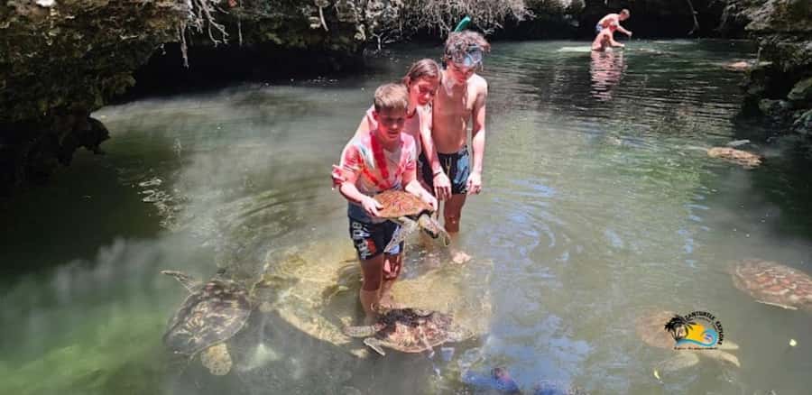 Zanzibar: Baraka Aquarium Feed, Swim & Snorkel with Turtles - Price and value: is the $42 ticket worth it?