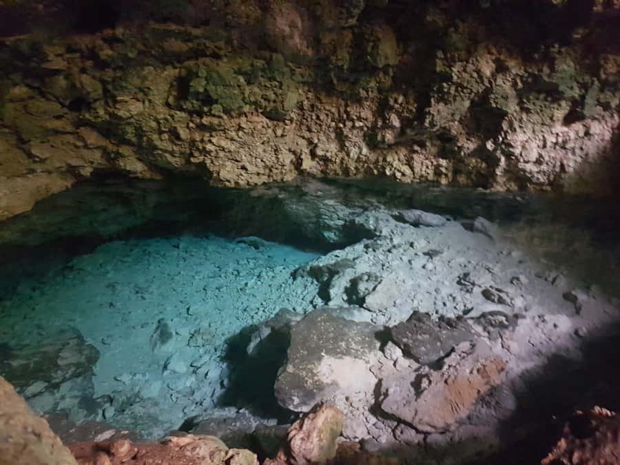 Zanzibar: Horseback Riding and Turtle Aquarium Visit - What to Bring (and Wear) for a Smooth Horse + Turtle Combo
