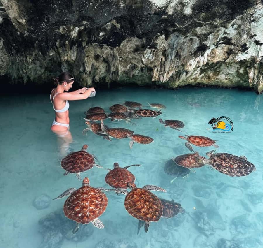 Zanzibar: Jozani Forest, Kuza Cave & Salaam Cave Aquarium - Jozani Forest: Red Colobus and Mangrove Walks That Feel Like a Real Ecosystem